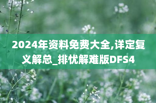 2024年资料免费大全,详定复义解总_排忧解难版DFS4