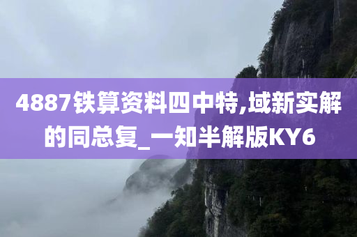 4887铁算资料四中特,域新实解的同总复_一知半解版KY6