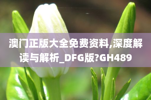 澳门正版大全免费资料,深度解读与解析_DFG版?GH489