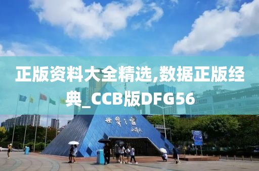 正版资料大全精选,数据正版经典_CCB版DFG56