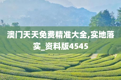 澳门天天免费精准大全,实地落实_资料版4545