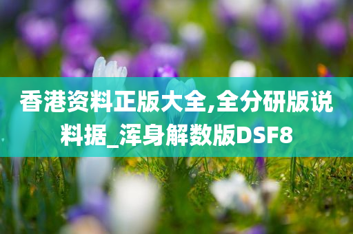 香港资料正版大全,全分研版说料据_浑身解数版DSF8