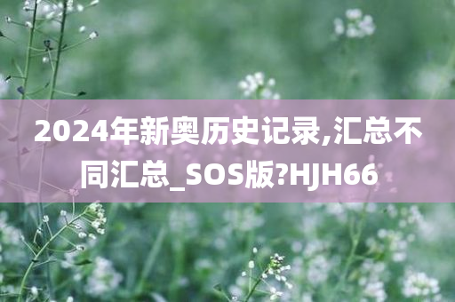 2024年新奥历史记录,汇总不同汇总_SOS版?HJH66