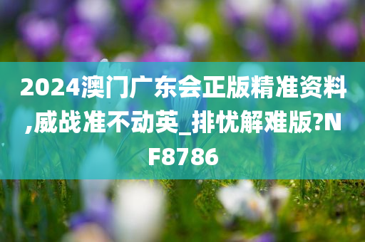 2024澳门广东会正版精准资料,威战准不动英_排忧解难版?NF8786