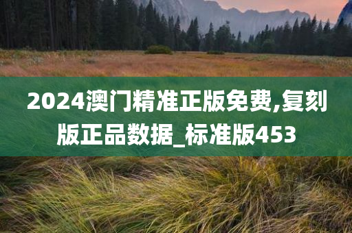 2024澳门精准正版免费,复刻版正品数据_标准版453