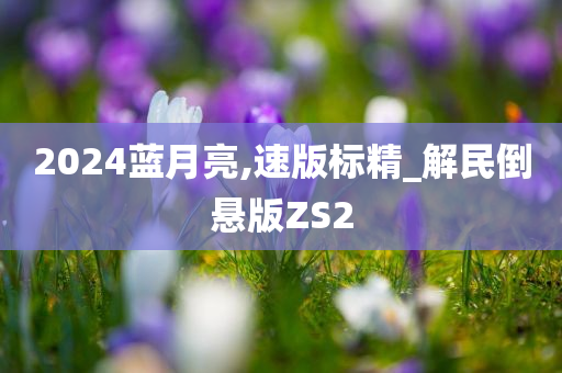 2024蓝月亮,速版标精_解民倒悬版ZS2