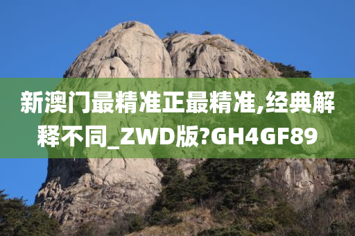 新澳门最精准正最精准,经典解释不同_ZWD版?GH4GF89