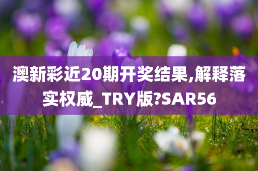 澳新彩近20期开奖结果,解释落实权威_TRY版?SAR56