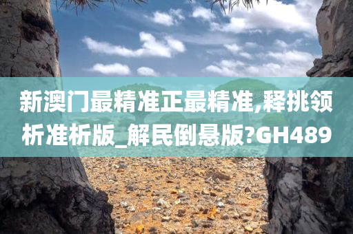 新澳门最精准正最精准,释挑领析准析版_解民倒悬版?GH489