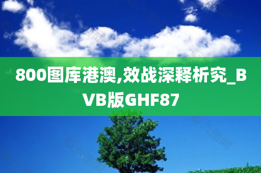 800图库港澳,效战深释析究_BVB版GHF87