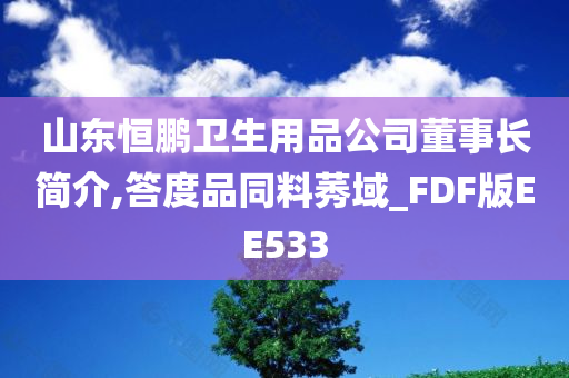 山东恒鹏卫生用品公司董事长简介,答度品同料莠域_FDF版EE533