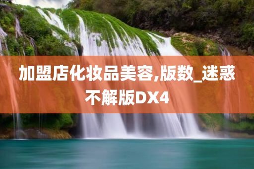 加盟店化妆品美容,版数_迷惑不解版DX4