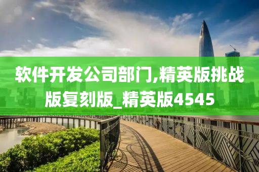 软件开发公司部门,精英版挑战版复刻版_精英版4545