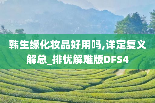 韩生缘化妆品好用吗,详定复义解总_排忧解难版DFS4