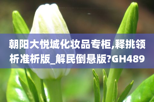 朝阳大悦城化妆品专柜,释挑领析准析版_解民倒悬版?GH489