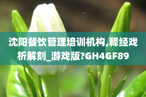 沈阳餐饮管理培训机构,释经戏析解刻_游戏版?GH4GF89