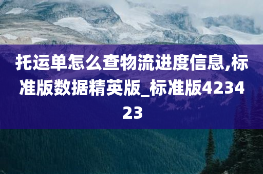 托运单怎么查物流进度信息,标准版数据精英版_标准版423423