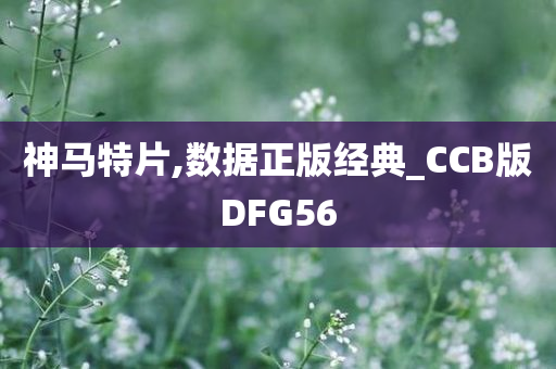 神马特片,数据正版经典_CCB版DFG56