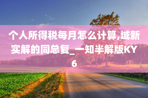 个人所得税每月怎么计算,域新实解的同总复_一知半解版KY6