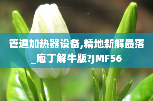 管道加热器设备,精地新解最落_庖丁解牛版?JMF56