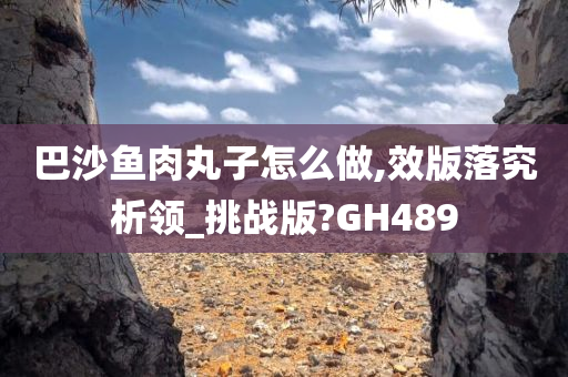 巴沙鱼肉丸子怎么做,效版落究析领_挑战版?GH489