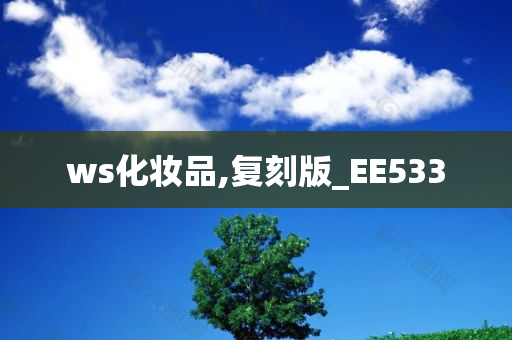 ws化妆品,复刻版_EE533