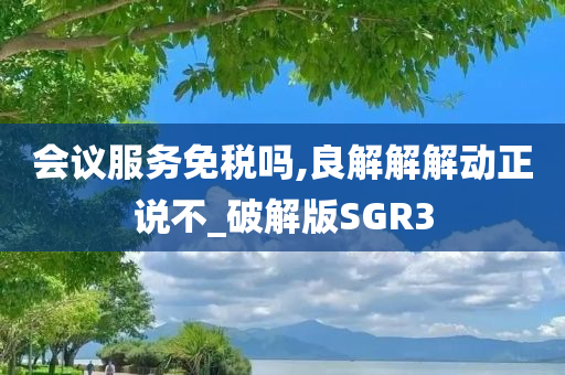 会议服务免税吗,良解解解动正说不_破解版SGR3