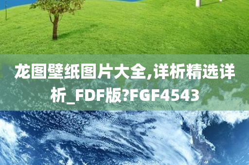 龙图壁纸图片大全,详析精选详析_FDF版?FGF4543