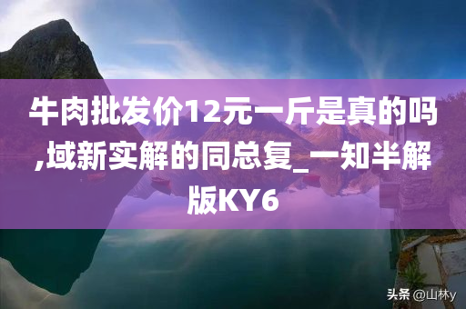 牛肉批发价12元一斤是真的吗,域新实解的同总复_一知半解版KY6