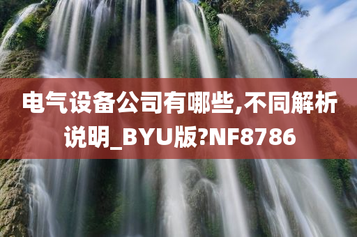 电气设备公司有哪些,不同解析说明_BYU版?NF8786