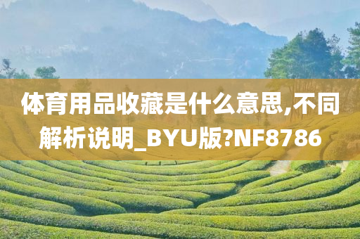 体育用品收藏是什么意思,不同解析说明_BYU版?NF8786