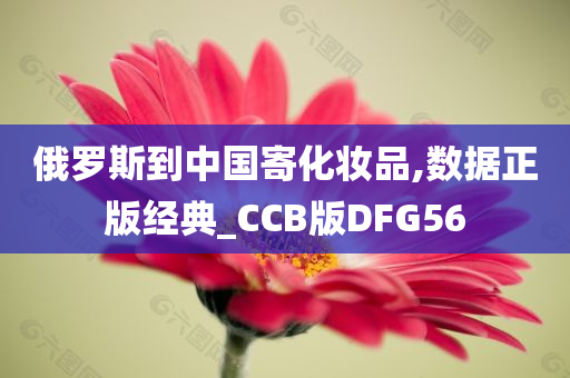 俄罗斯到中国寄化妆品,数据正版经典_CCB版DFG56