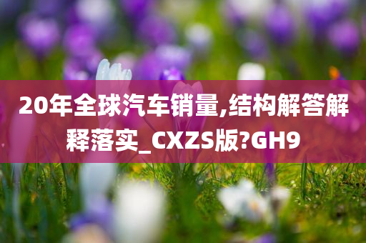 20年全球汽车销量,结构解答解释落实_CXZS版?GH9