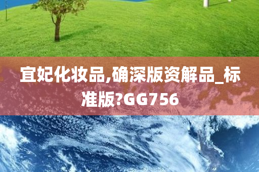 宜妃化妆品,确深版资解品_标准版?GG756