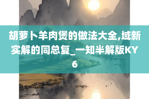 胡萝卜羊肉煲的做法大全,域新实解的同总复_一知半解版KY6