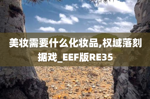 美妆需要什么化妆品,权域落刻据戏_EEF版RE35