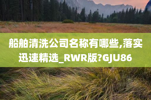 船舶清洗公司名称有哪些,落实迅速精选_RWR版?GJU86