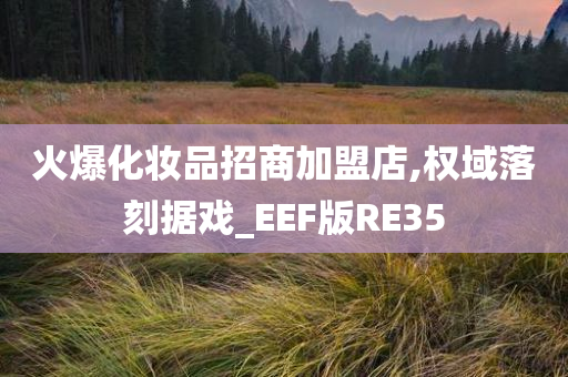 火爆化妆品招商加盟店,权域落刻据戏_EEF版RE35