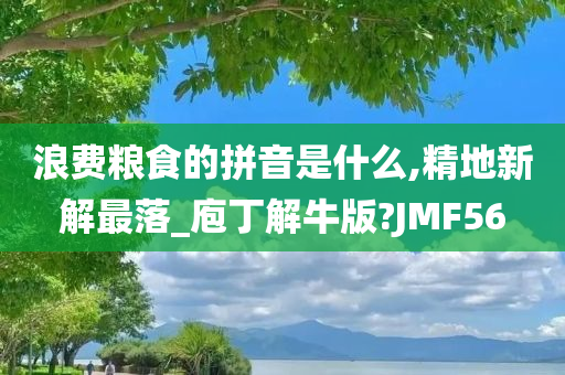 浪费粮食的拼音是什么,精地新解最落_庖丁解牛版?JMF56