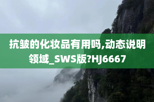 抗皱的化妆品有用吗,动态说明领域_SWS版?HJ6667