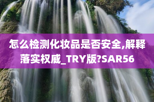 怎么检测化妆品是否安全,解释落实权威_TRY版?SAR56