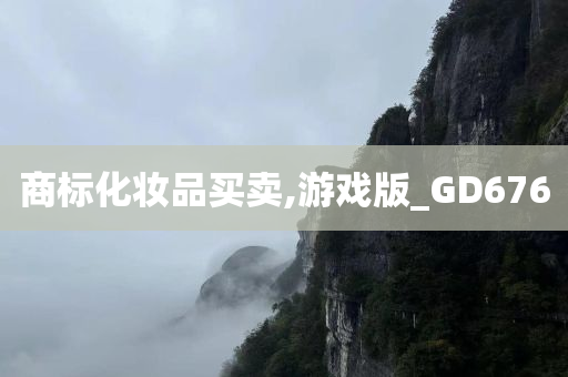 商标化妆品买卖,游戏版_GD676