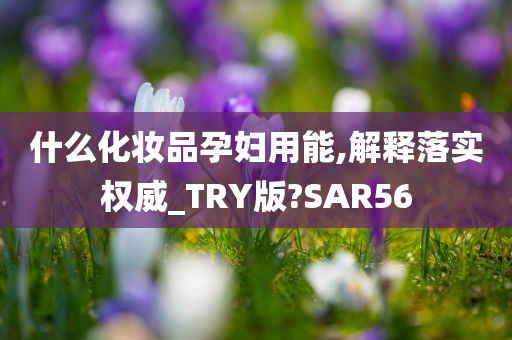 什么化妆品孕妇用能,解释落实权威_TRY版?SAR56