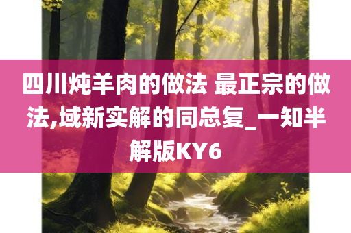 四川炖羊肉的做法 最正宗的做法,域新实解的同总复_一知半解版KY6