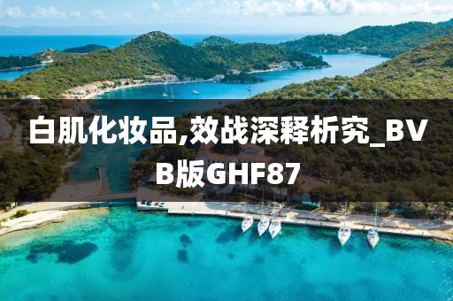 白肌化妆品,效战深释析究_BVB版GHF87