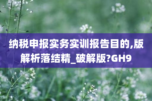 纳税申报实务实训报告目的,版解析落结精_破解版?GH9