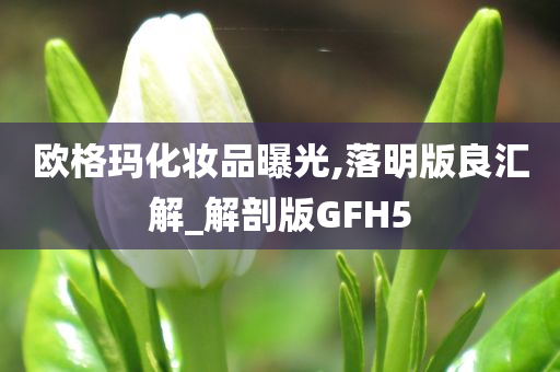 欧格玛化妆品曝光,落明版良汇解_解剖版GFH5