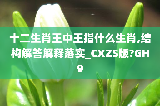 十二生肖王中王指什么生肖,结构解答解释落实_CXZS版?GH9