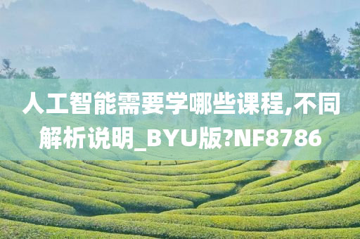 人工智能需要学哪些课程,不同解析说明_BYU版?NF8786