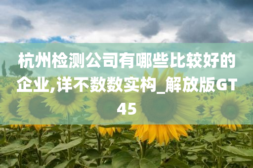 杭州检测公司有哪些比较好的企业,详不数数实构_解放版GT45